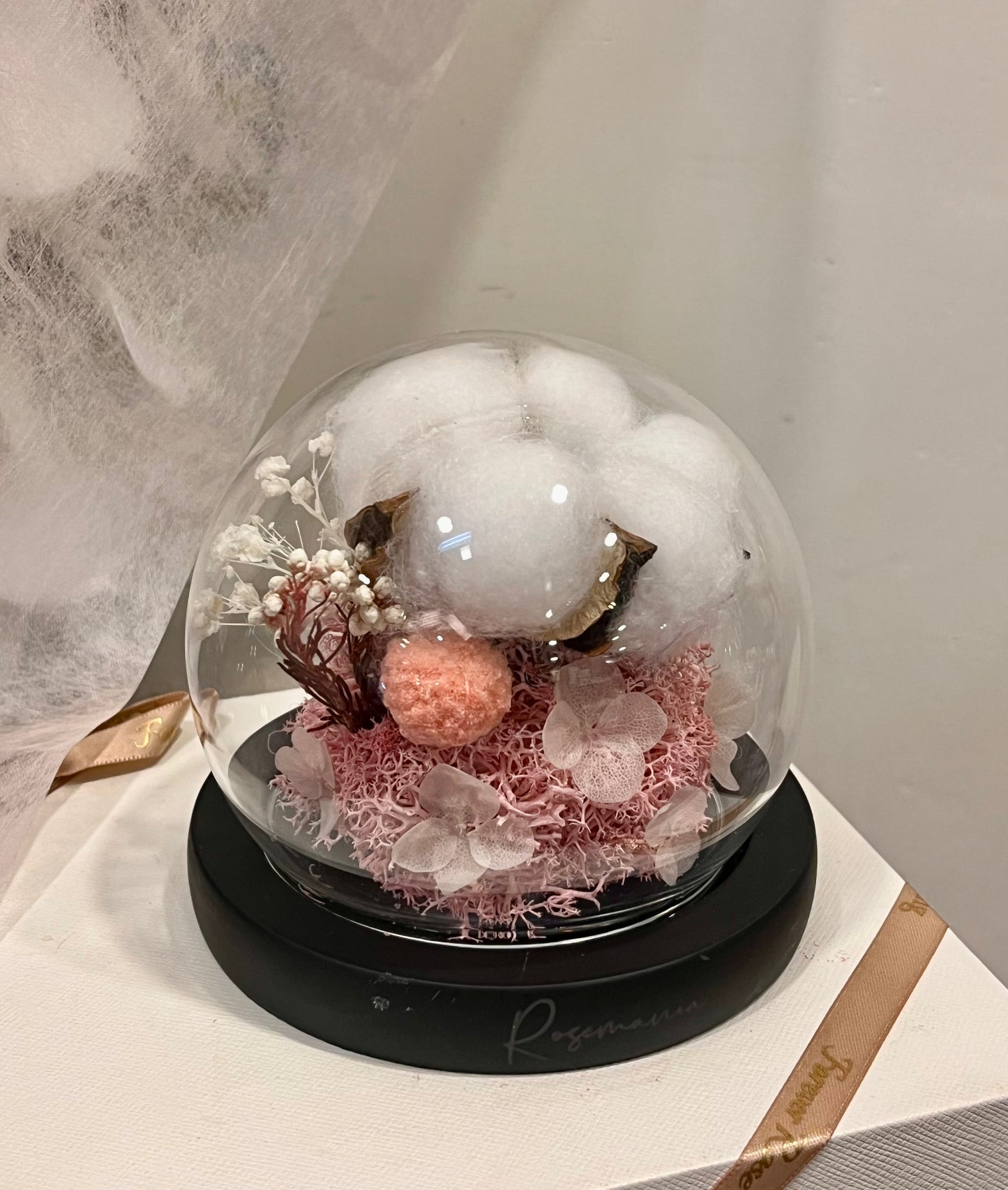 Preserved Cotton Glass Dome