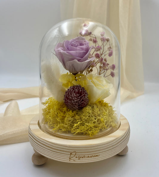 Purple Yellow Preserved Roses Glass Dome