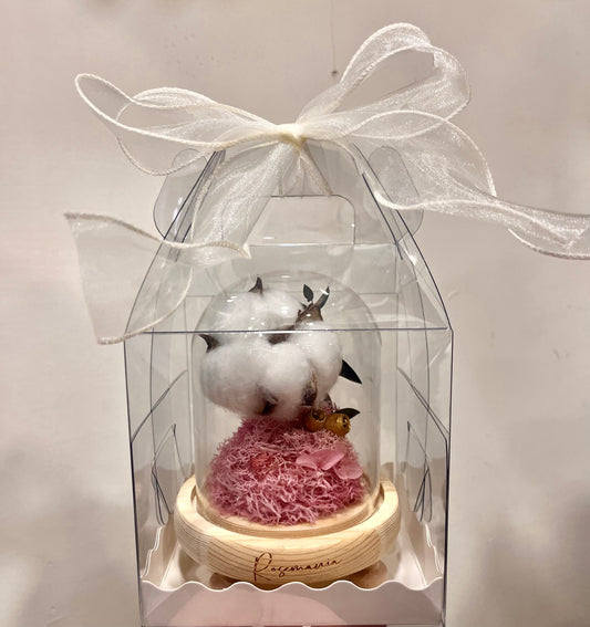 Preserved Cotton Glass Dome Gift Box 木棉花保鮮花玻璃罩禮盒