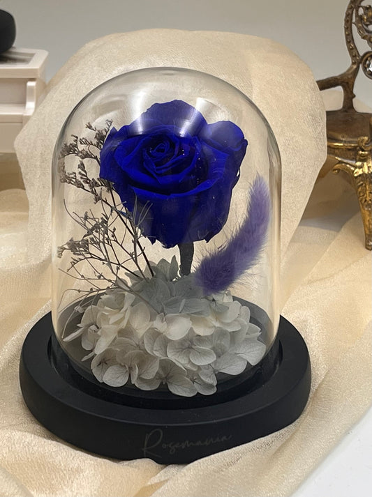Sapphire Blue Preserved Rose Glass Dome