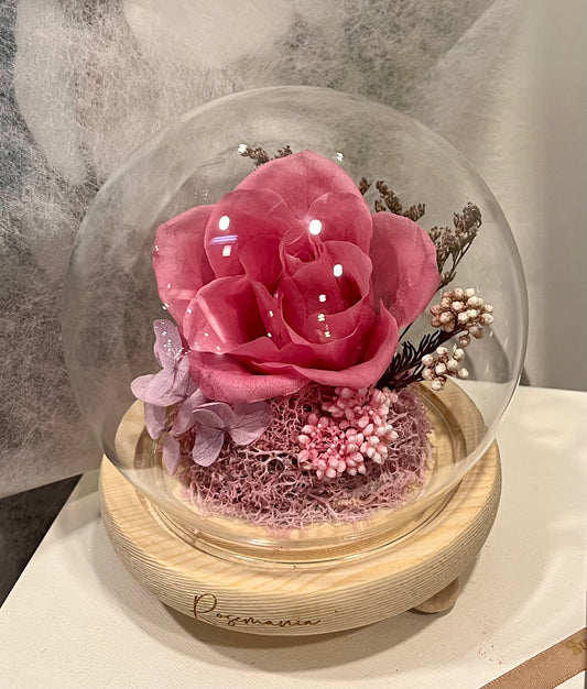 Sweet Pink Preserved Rose Glass Dome
