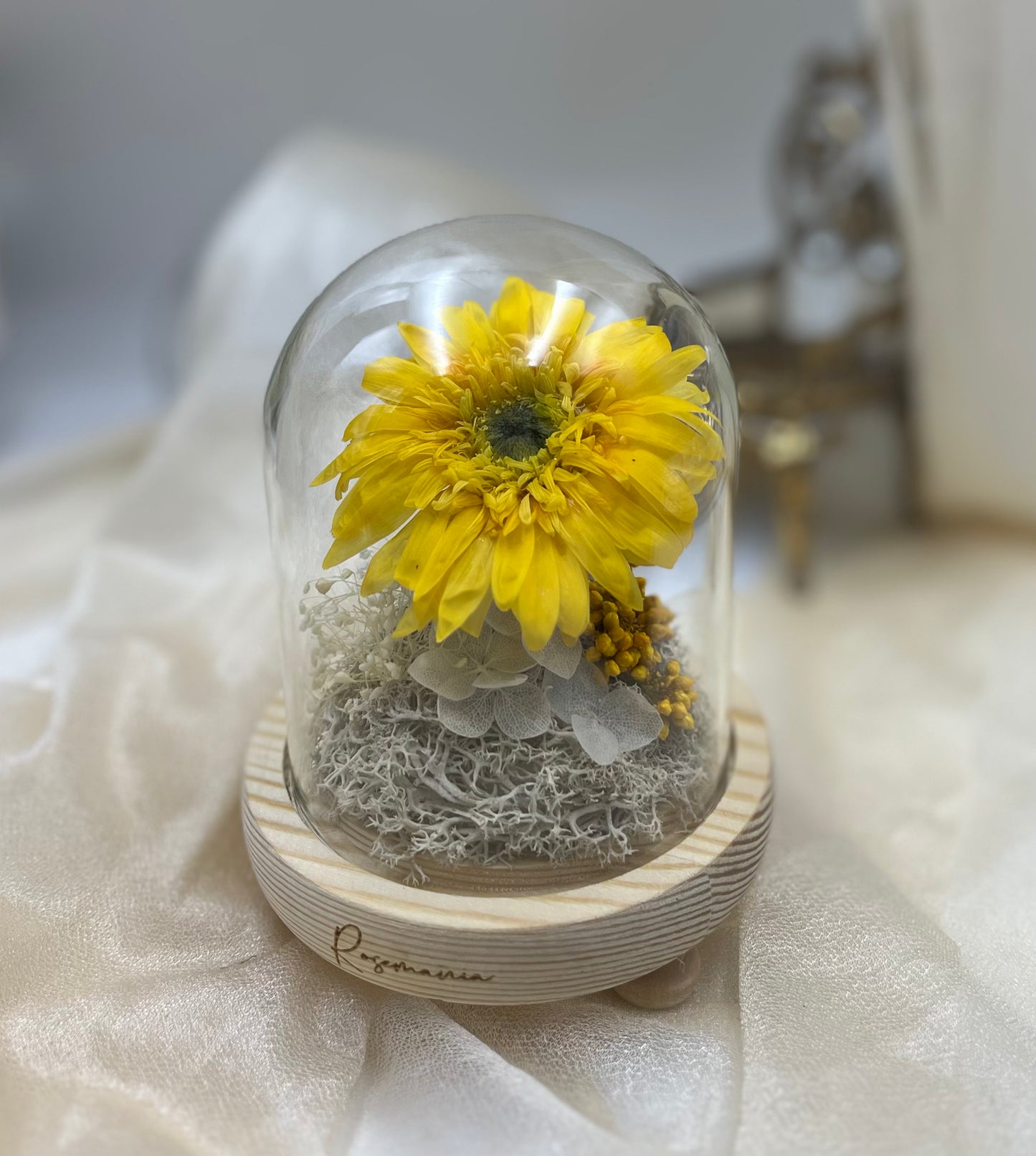 Preserved Sunflower Glass Dome