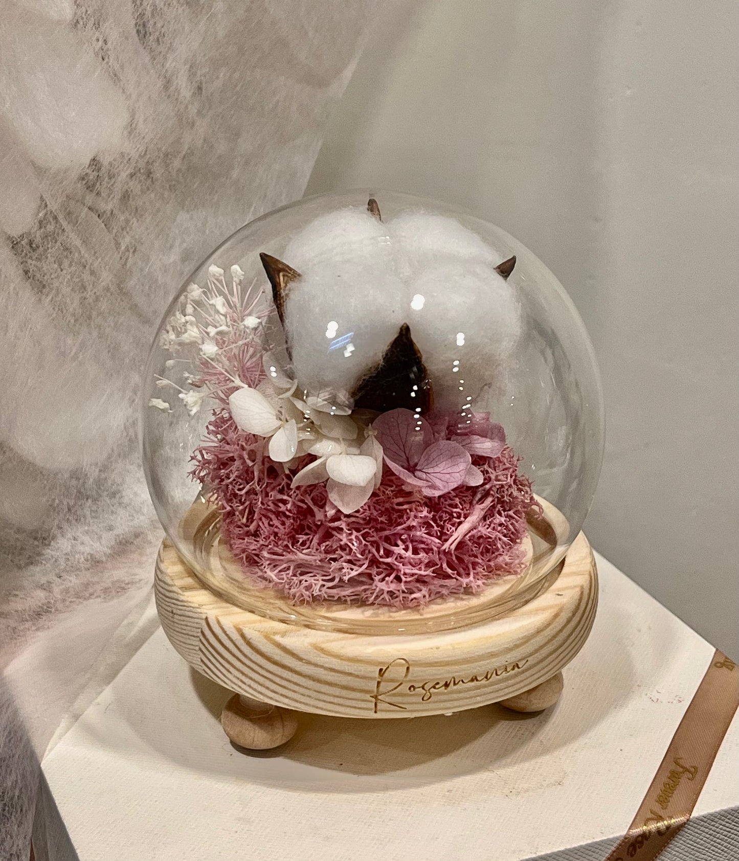Preserved Cotton Glass Dome