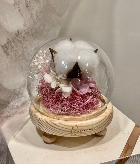 Preserved Cotton Glass Dome