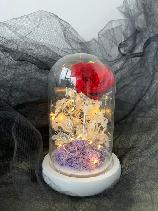 Lighted Preserved Rose Dome