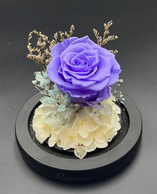 Preserved Purple Rose Glass Dome