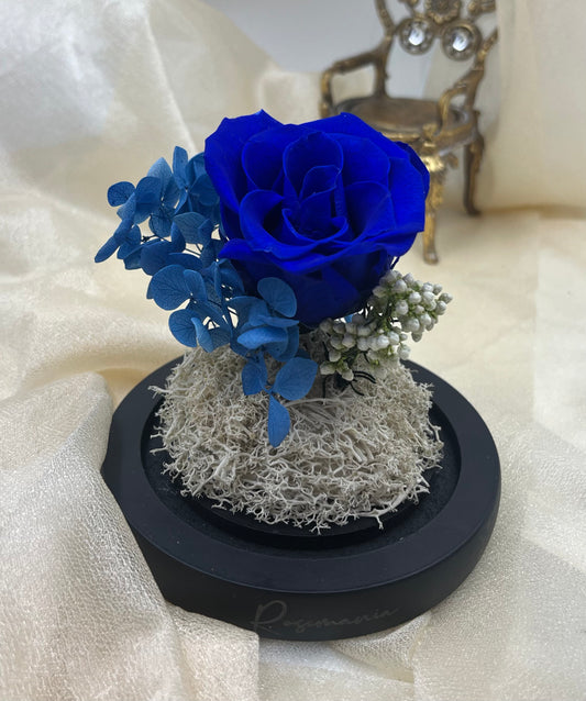 Sapphire Blue Preserved Rose Glass Dome