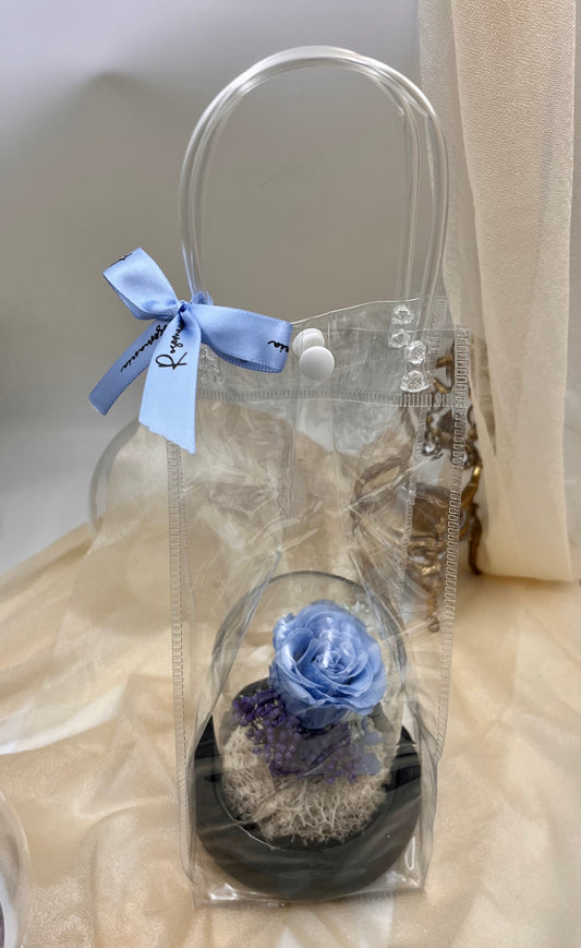 Gift Bag for Glass Dome