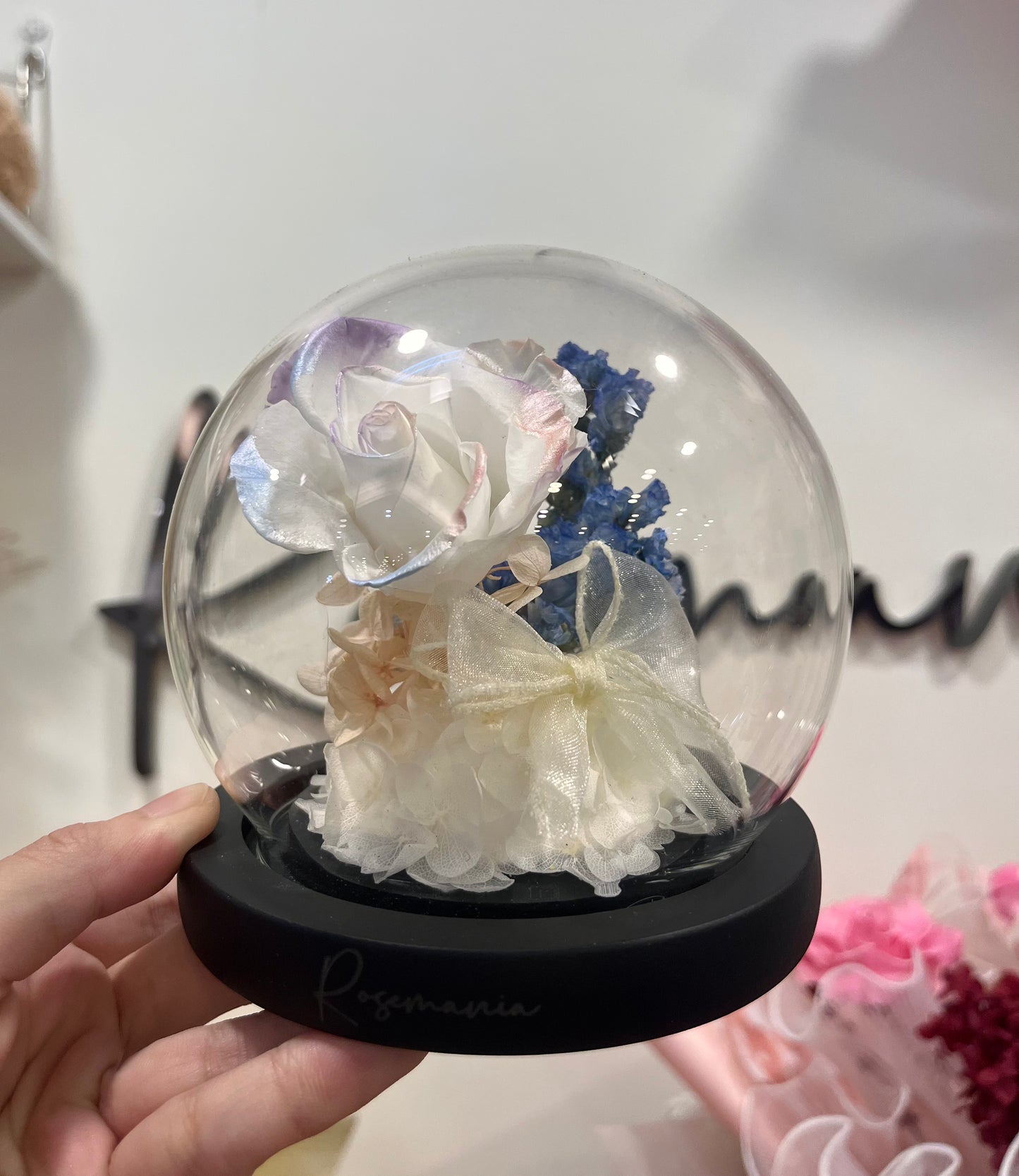 Pearlescent Preserved Rose Glass Dome