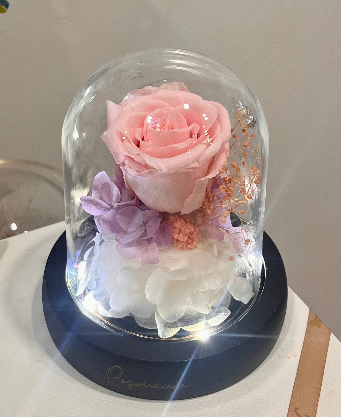 Preserved Pink Rose Glass Dome