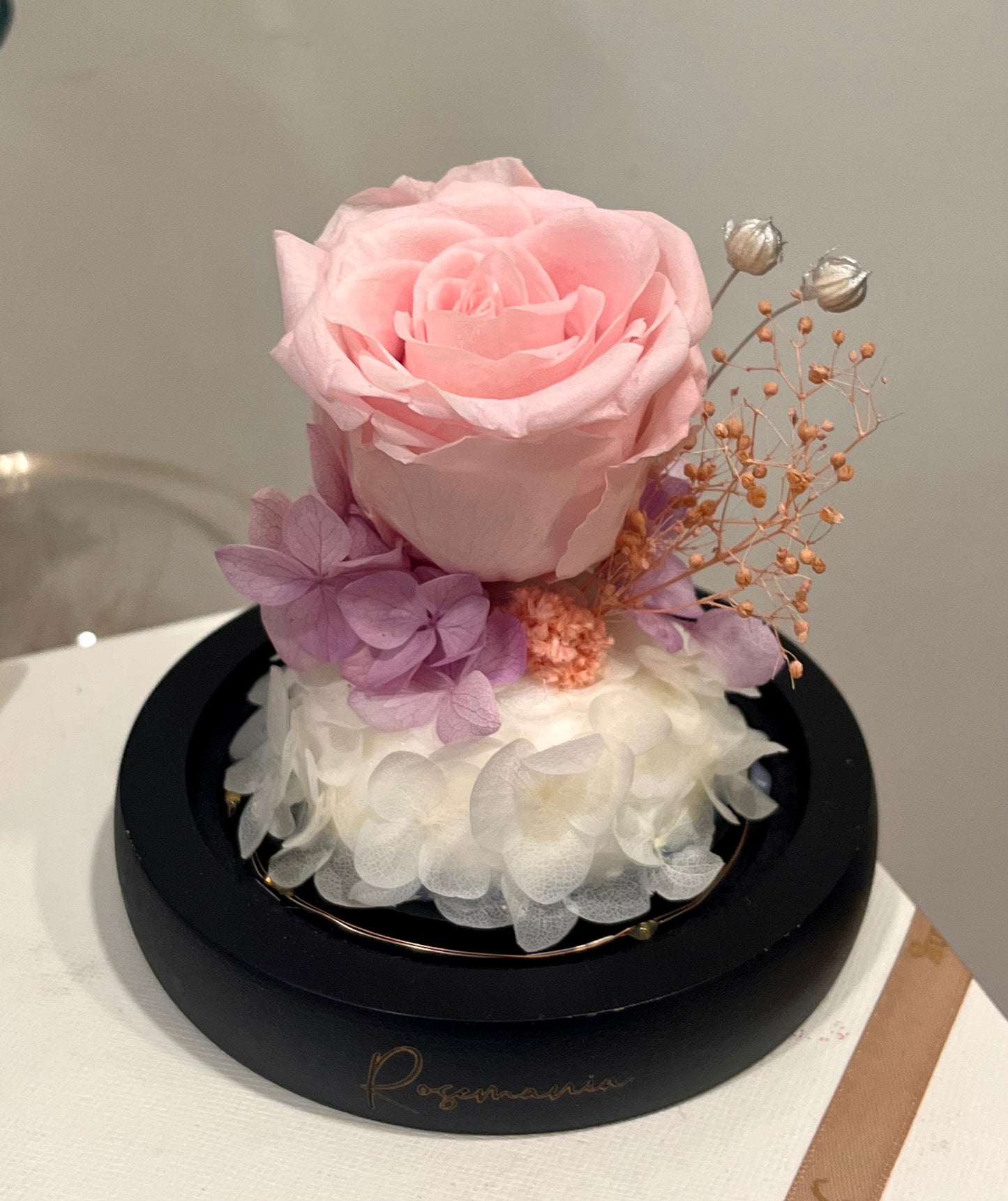 Preserved Pink Rose Glass Dome