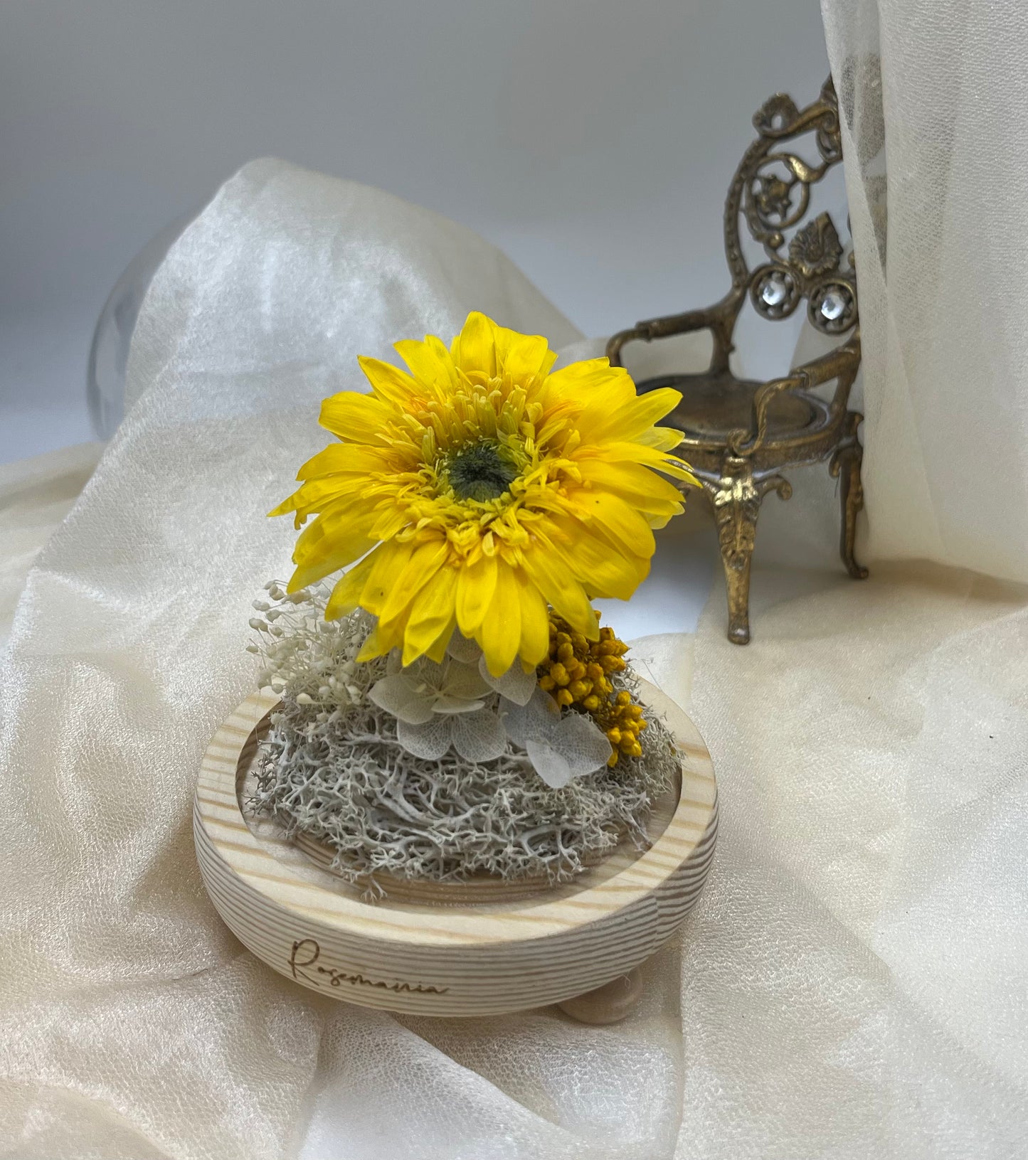 Preserved Sunflower Glass Dome