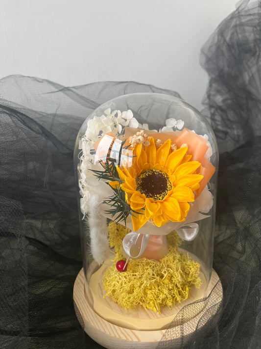 Preserved Sunflower Dome