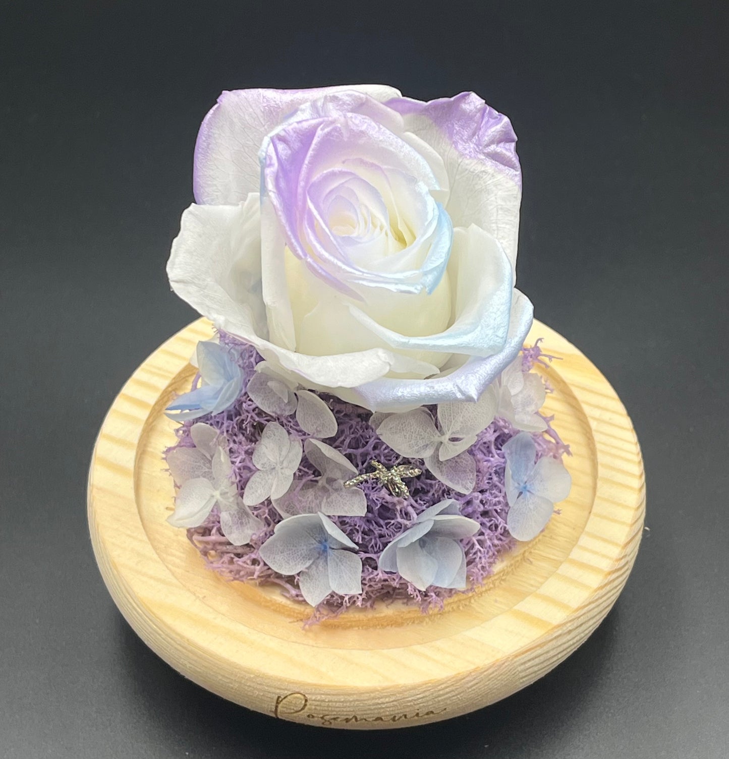 Preserved Rose Glass Dome