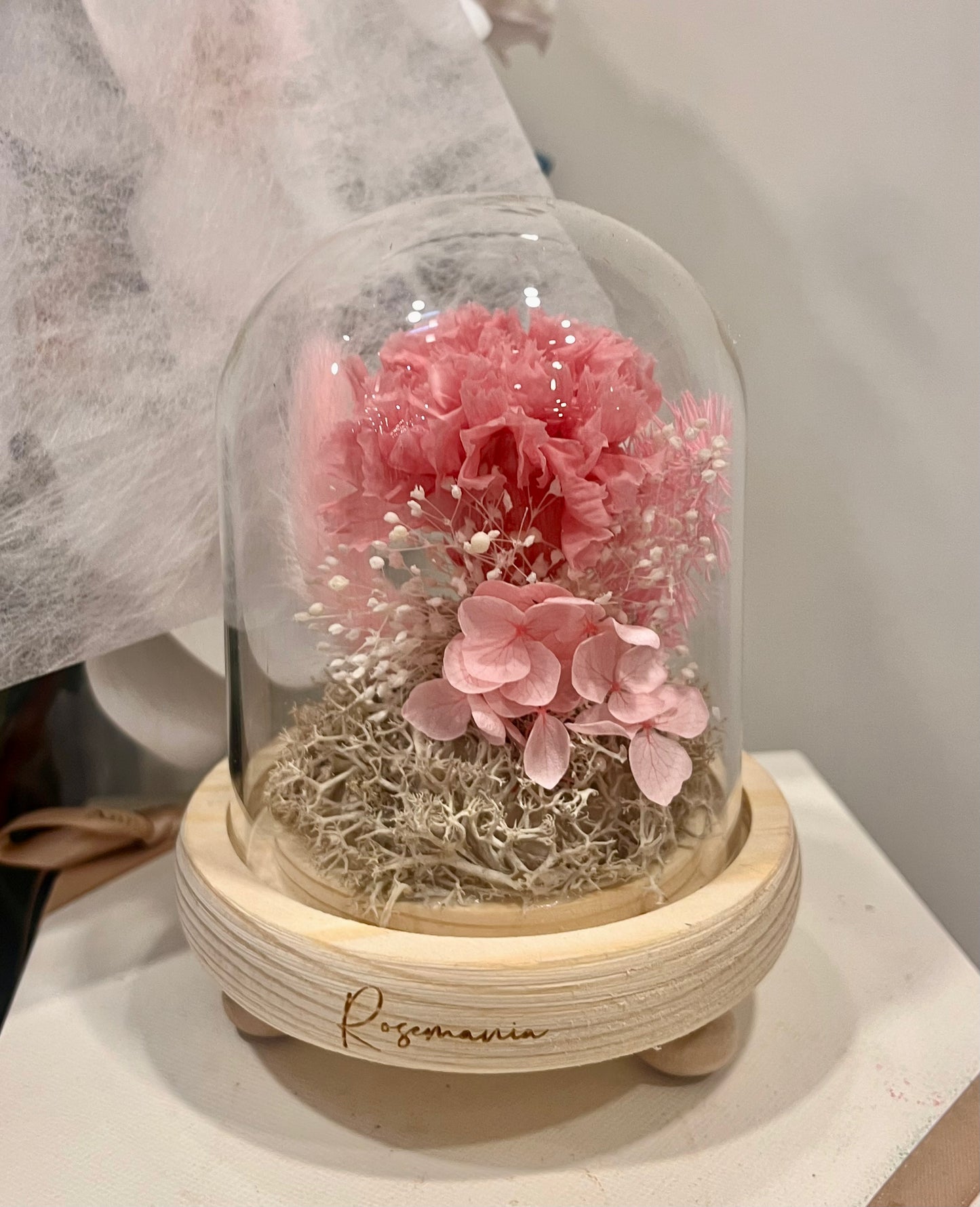 Preserved Carnation Glass Dome